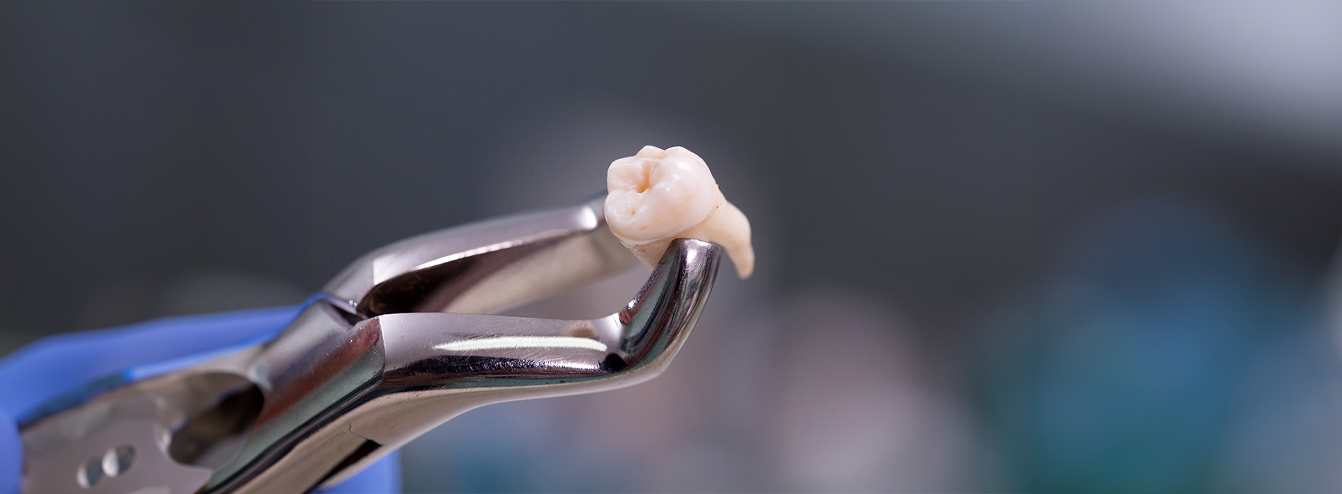 Great Marsh Dental | Teeth Whitening, Sports Mouthguards and Dental Cleanings