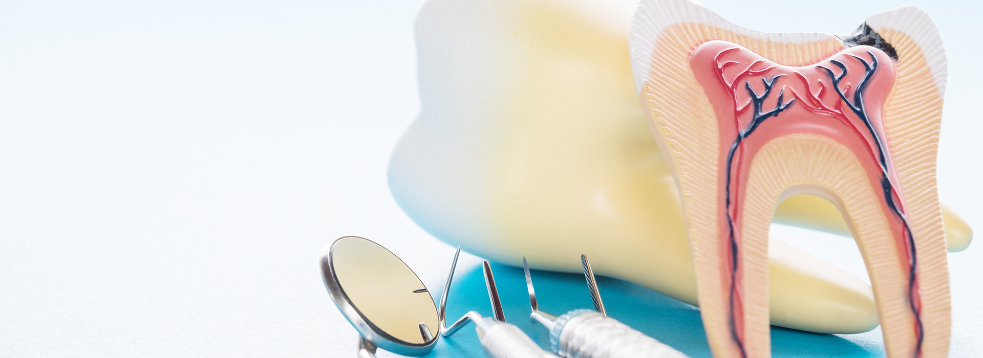 Great Marsh Dental | E4D, Cosmetic Dentistry and Pediatric Dentistry